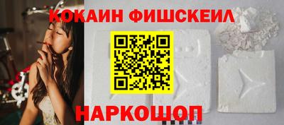 гашик Камышлов