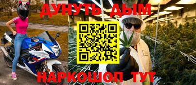 гашик Камышлов