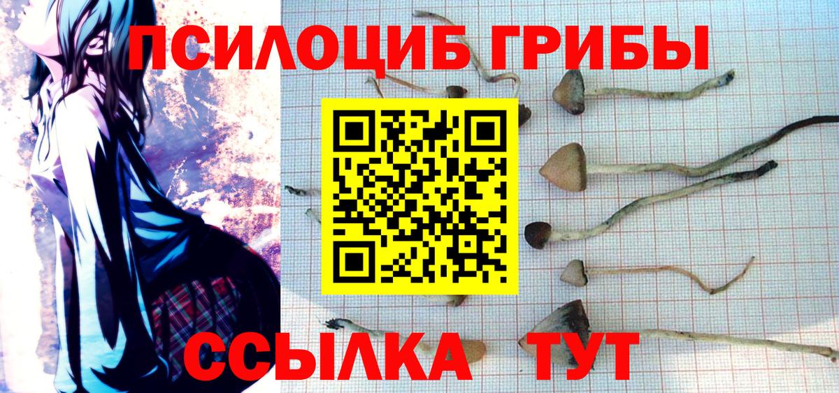 Псилоцибиновые грибы Psilocybe Лянтор